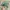 Adidas Casual Casual shoe Pria green photo 3