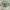 Adidas Casual Casual shoe Pria green photo 2