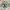Adidas Casual Casual Shoe Pria Green