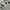 Nike Y2K Skater Sweatpants & Joggers Pria gray photo 7