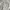 Nike Y2K Skater Sweatpants & Joggers Pria gray photo 4