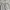 Nike Y2K Skater Sweatpants & Joggers Pria gray photo 6