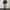 Nike Y2K Skater Sweatpants & Joggers Pria gray photo 2