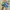 Adidas Casual Casual shoe Pria navy photo 3