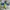 Adidas Casual Casual shoe Pria navy photo 4