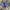 Adidas Casual Casual shoe Pria purple photo 2