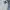 Carhartt Streetwear Casual Windbreaker Pria cream photo 5
