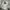 Carhartt Streetwear Casual Windbreaker Pria cream photo 2