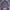 Coogi Y2K Fleece Pria multicolor photo 1