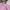 Polo Ralph Lauren Vintage Casual Polo shirt Pria pink photo 3