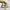 New Balance Casual Sneakers Wanita khaki photo 3