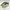 New Balance Casual Sneakers Wanita khaki photo 1