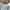 The North Face Y2K Casual Polo shirt Pria gray photo 4