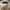 Polo Ralph Lauren Casual Sweatshirt Pria tan photo 3