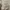 Polo Ralph Lauren Casual Sweatshirt Pria tan photo 6