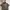 Polo Ralph Lauren Y2K Casual Polo shirt Pria brown photo 2
