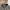 Polo Ralph Lauren Y2K Casual Polo shirt Pria brown photo 5