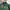 Polo Ralph Lauren Y2K Casual Polo shirt Pria green photo 3