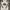 Kappa Streetwear Hoody Pria white photo 2