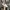 New Balance Casual Sneakers Wanita white cream photo 2