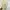 New Balance Casual Sneakers Wanita white cream photo 4