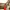 H&M Casual Summer dress Wanita red photo 2