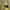 Fear of God ESSENTIALS Casual Sweater Pria yellow photo 2