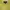 Fear of God ESSENTIALS Casual Sweater Pria yellow photo 1