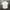 Polo Ralph Lauren Casual Casual shirt Pria white green photo 1