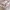 Skechers Casual Sneakers Wanita white pink photo 5