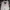 Levi's Biker Jumper Pria white photo 1