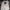 Levi's Biker Jumper Pria White