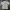 Undefeated Streetwear T-shirt Pria gray photo 3