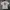 Undefeated Streetwear T-shirt Pria gray photo 1