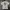 Undefeated Streetwear T-shirt Pria Gray