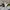 Adidas Streetwear Sweatshirt Pria gray photo 6