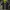 Pancoat Streetwear Hoody Pria navy photo 6