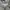 Dickies Streetwear Hoody Pria gray photo 3