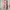 Midi Dress Wanita Multicolor Pink