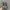 New Balance Y2K Sportswear Sneakers Pria gray photo 4