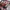 Streetwear Crop top Wanita multicolor photo 3
