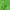 Streetwear Gorpcore Windbreaker Pria green photo 6