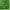 Streetwear Gorpcore Windbreaker Pria green photo 4