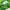 Streetwear Gorpcore Windbreaker Pria green photo 8