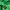 Streetwear Gorpcore Windbreaker Pria green photo 7