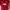 New Balance Sportswear T-shirt Pria red photo 1