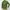 Montbell Streetwear Gorpcore Windbreaker Pria green photo 3