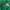 Montbell Streetwear Gorpcore Windbreaker Pria green photo 8