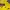 Scholler Gorpcore Sportswear Windbreaker Pria yellow photo 7