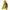 Scholler Gorpcore Sportswear Windbreaker Pria yellow photo 1